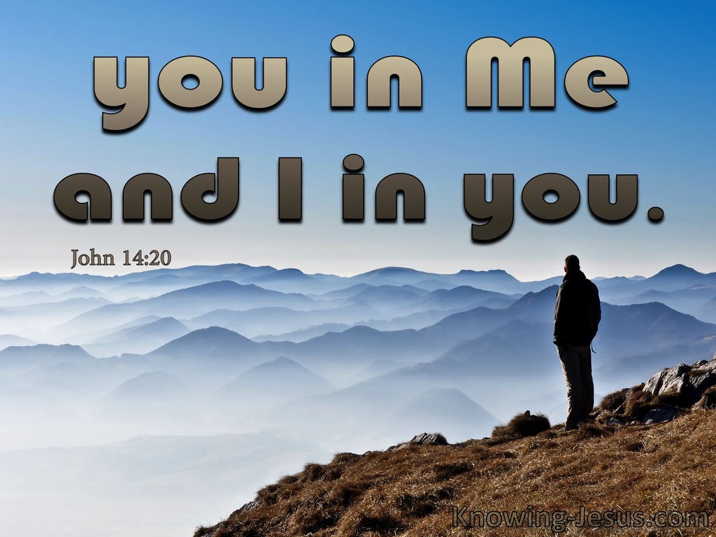 John 14:20 You In Me And I In You (brown)